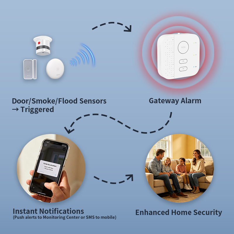 스마트 홈 노인 돌봄 거실 보안 게이트웨이 허브 (가정 - Home Security For Seniors 리뷰 및 가격